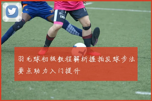 羽毛球初级教程解析握拍发球步法要点助力入门提升